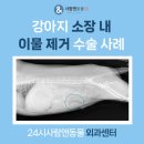 성복동물병원 이미지