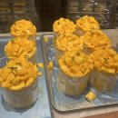 홍우프라자 앞 | Jun.1 생일주간 기록ㅣ100만 달성, 성심당 망고시루 구매 꿀팁 웨이팅 정보, 메가커피 팥빙젤라또...