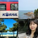 삼진노동조합 | 청량리역 출발 강원도 강릉 기차여행 추천 KTX이음 요금 예약