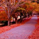 밥앤조토익학원 이미지