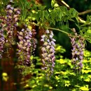 국가대표 드림플러스 태권도 이미지