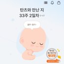 (주)팍스페밀리 | [33-36주차] 배가 왕 커진 여름 임산부, 임산부 반깁스, 붓기와의 싸움