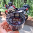 형제조류 이미지