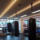 링맨복싱 이미지