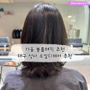 오알디헤어