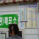 신평 정류소 Daum카페
