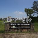 광해목장 이미지