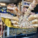 속초게랑회랑 이미지