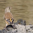 풍림머리방 이미지