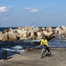 해안로1 이미지