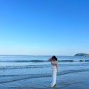 보령 애견동반 풀빌라엘리스테이 솔직후기