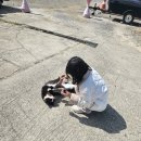 용천마을 | 충남 당진시 왜목마을에서 장고항 촛대바위 용천굴 서해랑길80코스 아이와 가 볼 만한 곳