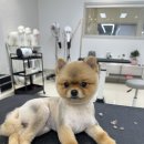 개편한 미용# 이미지