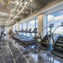 더바디짐 이미지