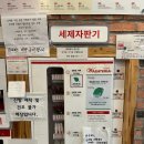 워시테리아올레 이미지