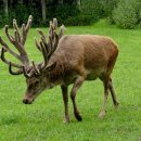 본플러스한의원 이미지