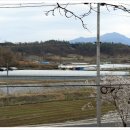 이종선농장 네이버블로그