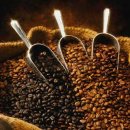 벨라빈스커피 이미지