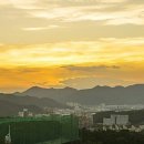 종합운동장 메타세콰이어길 이미지