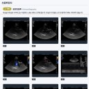 나무동물병원 이미지