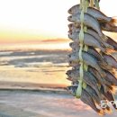 박인규축산 이미지