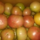 토마토주유소 이미지