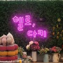 헬로펫샵 이미지