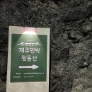 숲이좋아민박 | 제주 감성 숙소, 제주 동쪽 독채펜션 &#39;제주민박 뒷동산&#39; 후기 !!