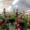 서울화원 이미지