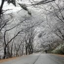 꼭대기산장 이미지