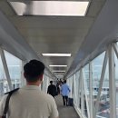 무진장농원 | [7월 제주도 여행 1] 티웨이 항공 · 쏘카 스테이션 레이 EV 후기 · 무진장 회식당 물회 맛집