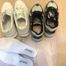 6-285 TS | 네티컬 플러스 기능성 깔창 후기 - 족저근막염, 아치, 평발까지 한 번에 케어하는 인솔깔창