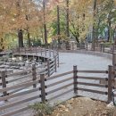 월영연못공원 이미지