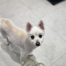 아이랑 동물병원 이미지