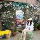 유지니의작은정원 | 용인모현카페 【유지니의작은정원】 식물카페에서 힐링하세요~ 용인 조용한 카페 추천
