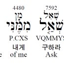 코드쉬