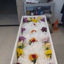 금강의전 이미지