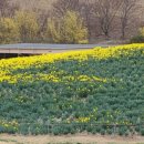 구례목장 이미지