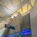 한마음광장 바다마트 | 26년 1월 / 1박 2일 칭다오 여행 : 동방항공,샹그릴라호텔,루위,맥주박물관,이징후이,5.4광장,RT마트