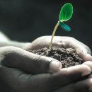 목천대로 이미지