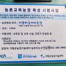 운악산포도체험장