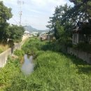 평촌천 이미지