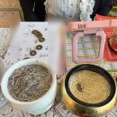 CU안산이동점 | 막막한 진로 고민 취준생 안산 상록수역 신점 보고 왔어요 🥺ㅣ타로+신점+사주카페 연꽃사주타로카페포차