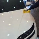 창인약품 이미지