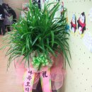 초록향기작은도서관 이미지