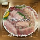 산남 | 청주 회맛집 어촌별미 산남 본점 방어 내돈내산 후기