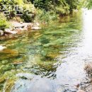 용문산장 펜션 이미지