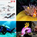 포인트팜 이미지