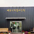 대둔산민물새우탕