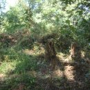 상산 마을회관 이미지